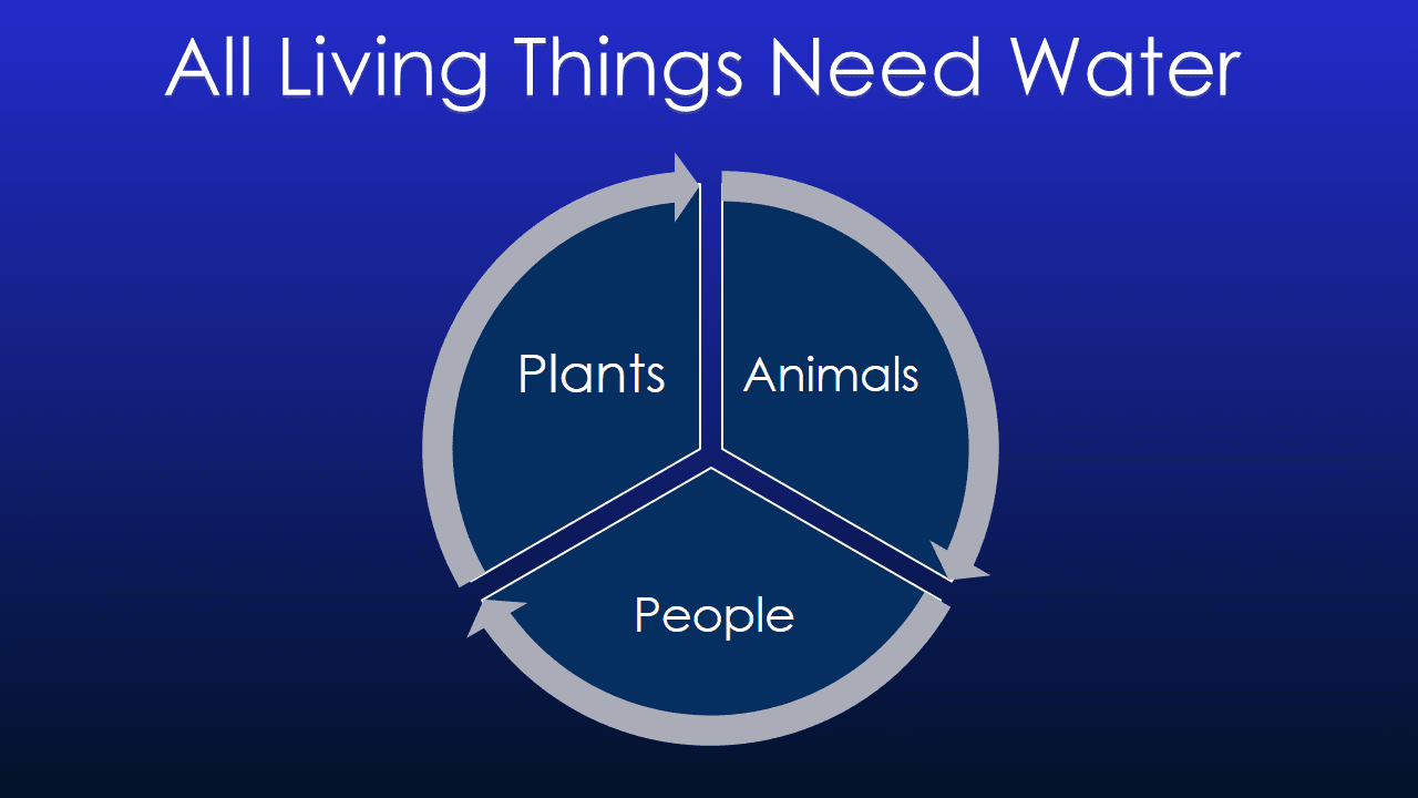 Water Conservation Presentation - Slide 3